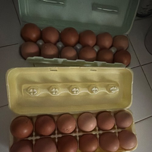 Fresh brown eggs - fresh,