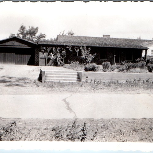 C1950s mid century - mid,