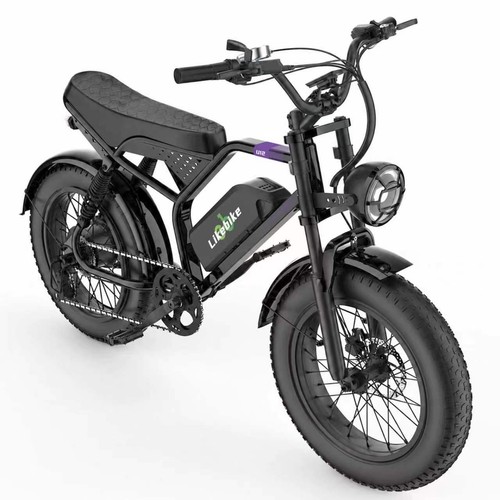 Fat tire adults - adults, electric