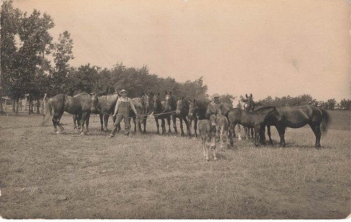 Farmers pasture with - farmers,