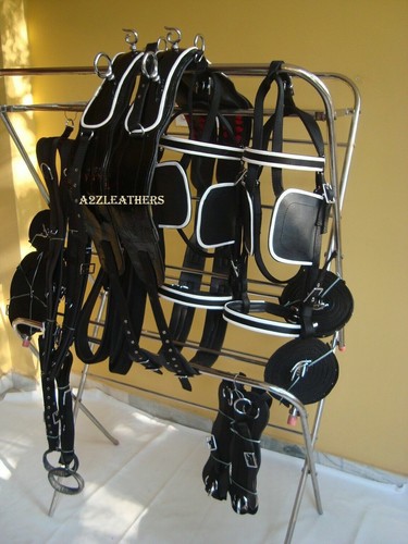 Driving harness black - in,