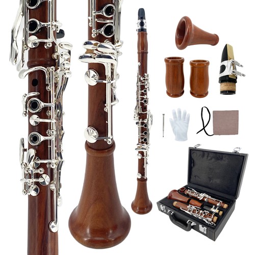 Key professional - 17,