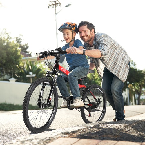 Inch folding mountain bike - 24,