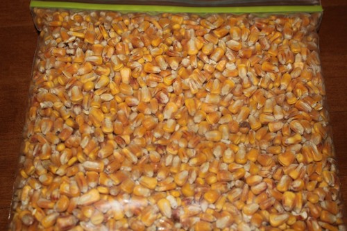 Corn supply 4lbs - corn,