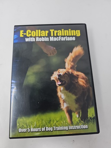 Collar training with robin - e-collar,