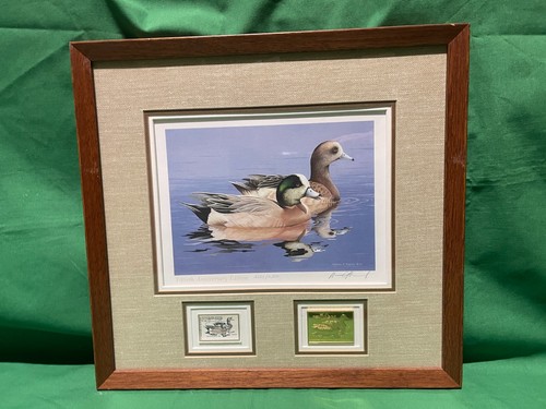 1984 rw51 federal duck stamp - 1984,