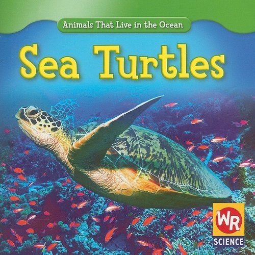 Sea turtles animals that - sea,