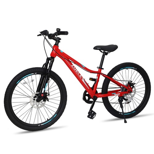 Kids mountain bike - 24",