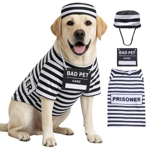 3pcs halloween prisoner - halloween, dog