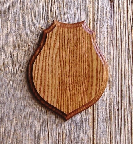 Solid medium oak antler - medium, mount