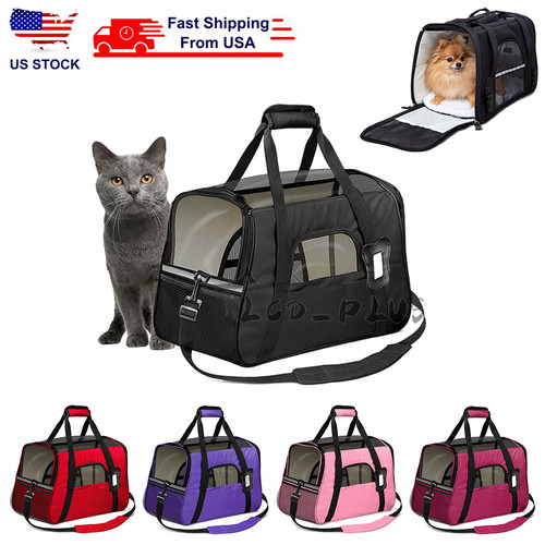 Pet dog cat - pet, soft