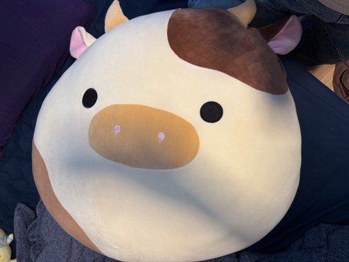 Squishmallows ronnie cow - ronnie, 24