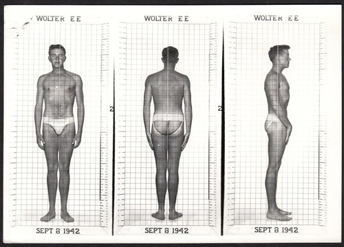 Hot golden stud 1942 - hot, 5x7