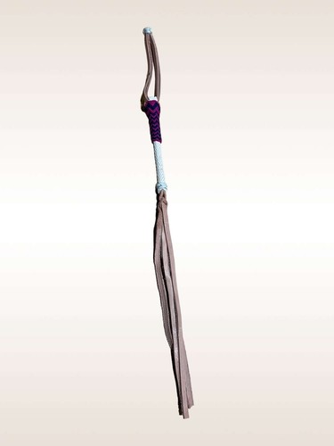 Charro saddle horse - charro, quirt