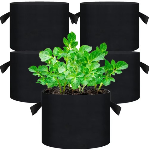 Pack planting growing bags - planting,