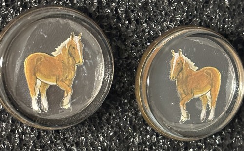 Horse bridle rosettes belgian - horse,
