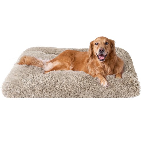 Eheyciga fluffy dog - eheyciga,