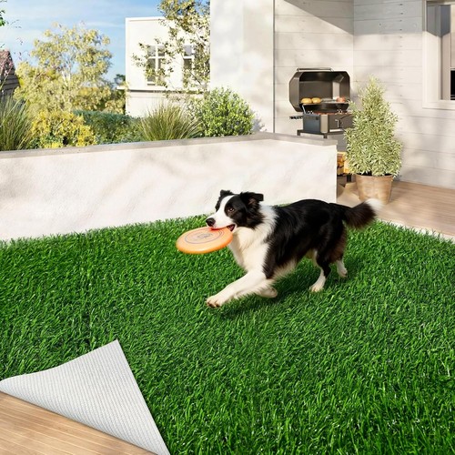 7x10ft pet friendly - pet,