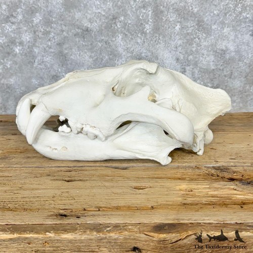 29118 reproduction amur - #29118, p