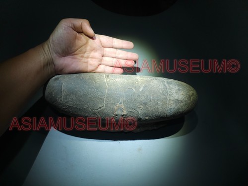 Big tarbosaur oviraptor - oviraptor, raptor