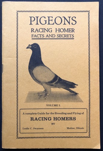 Leslie swanson pigeons - leslie,