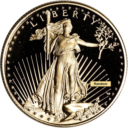 American gold eagle proof 2 - american,