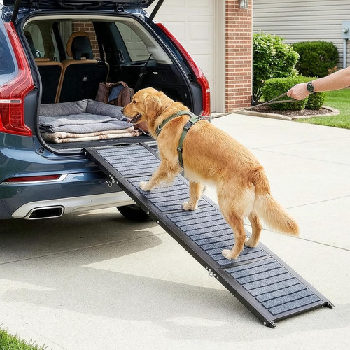 Inch dog ramp - 72,