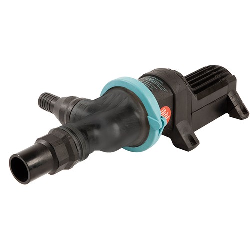 Whale marine gulper grouper - marine,