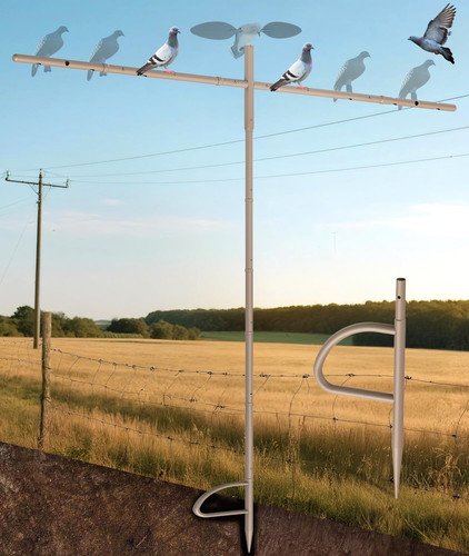 Outdoors dove hunting decoys - hunting,
