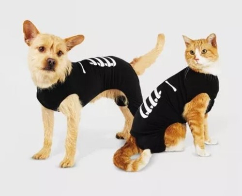 Target dog cat pet halloween - dog,
