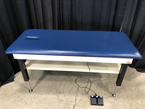 Hausmann bariatric powered - hausmann,