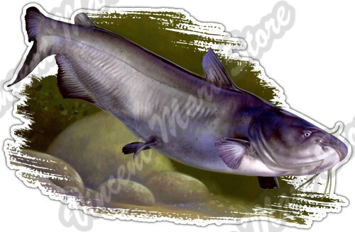 Channel catfish fishing fish - channel,