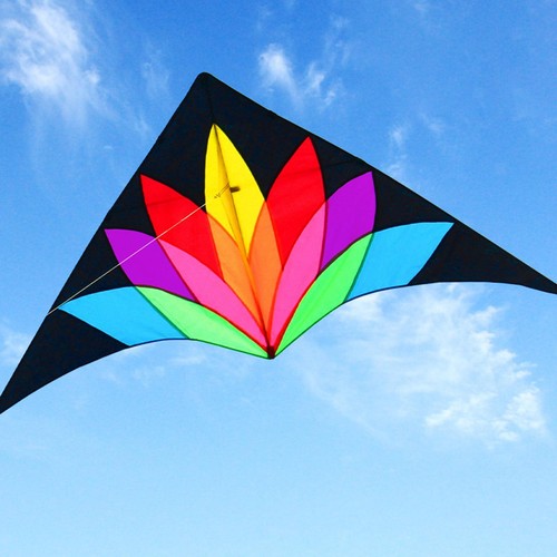 Giant delta kite - huge,
