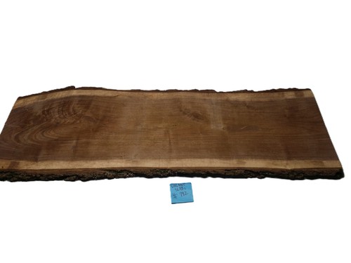 Massive live edge black - live,