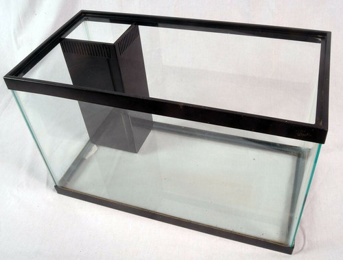 Aquarium corner and - and, center