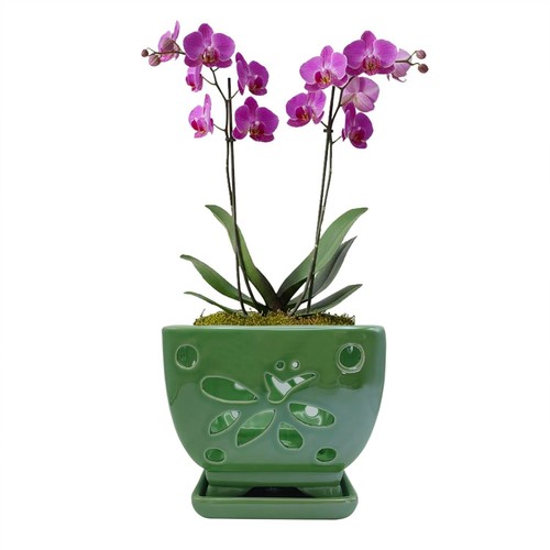 Square ceramic orchid pots - square,