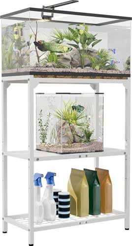 Gallon aquarium stand fish - aquarium, stand,