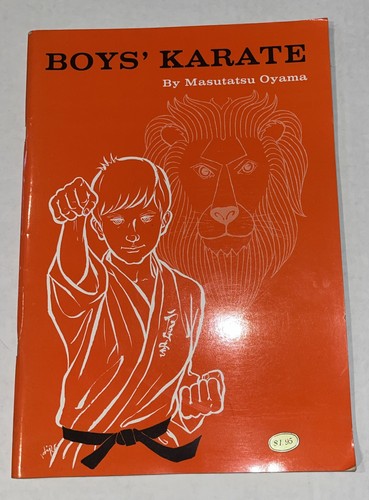 Boys karate boy - boys,