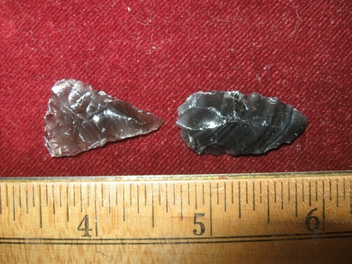 Genuine colorado prehistoric - genuine,