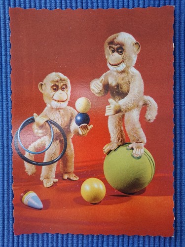 Old postcard monkeys circus - ak,