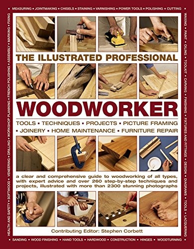 The illustrated professional - the,