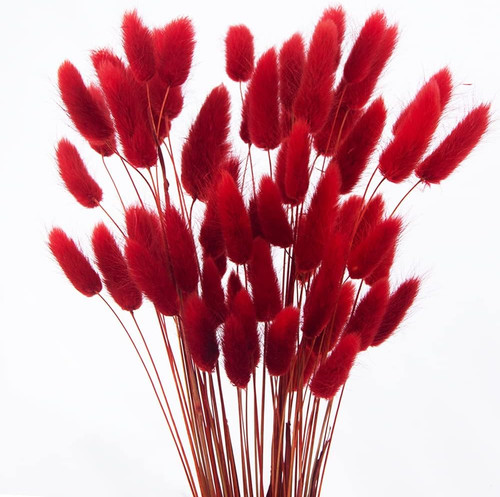 60pcs dried bunny - dried,