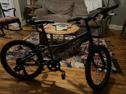 Kids giant xtc bike - kids,