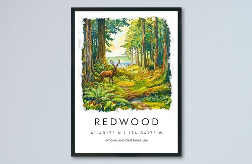 Redwood watercolor poster - redwood,