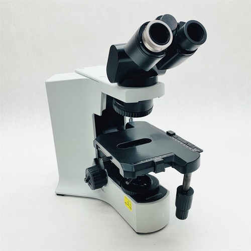 Olympus bx41tf upright - olympus,