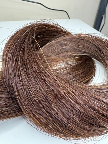Natural tail horsehair brown - horsehair,