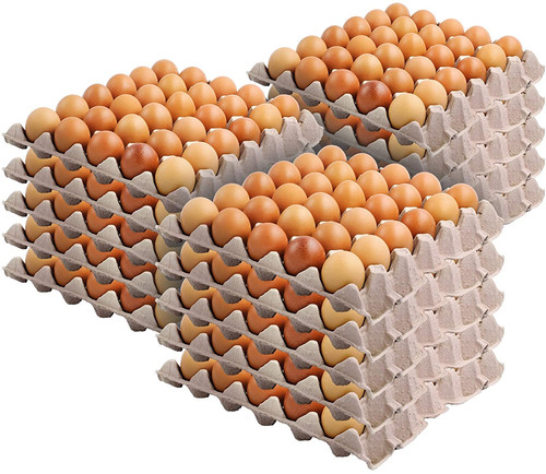 Cell egg crates - pack),