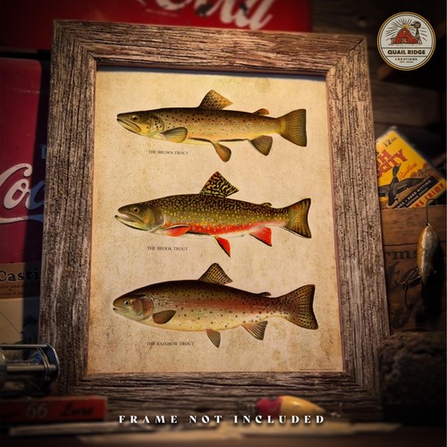 Vintage trout poster art print - trout,