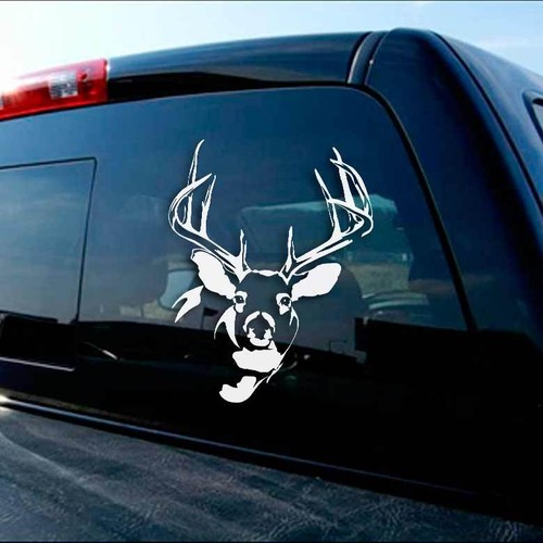 Whitetail deer decal archery - whitetail,