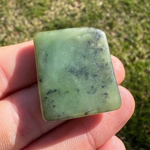 Canadian jade palm - canadian, stone